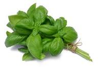 Herbal Remedies For Kidney Stones